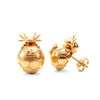 MX26 Axolote - aretes